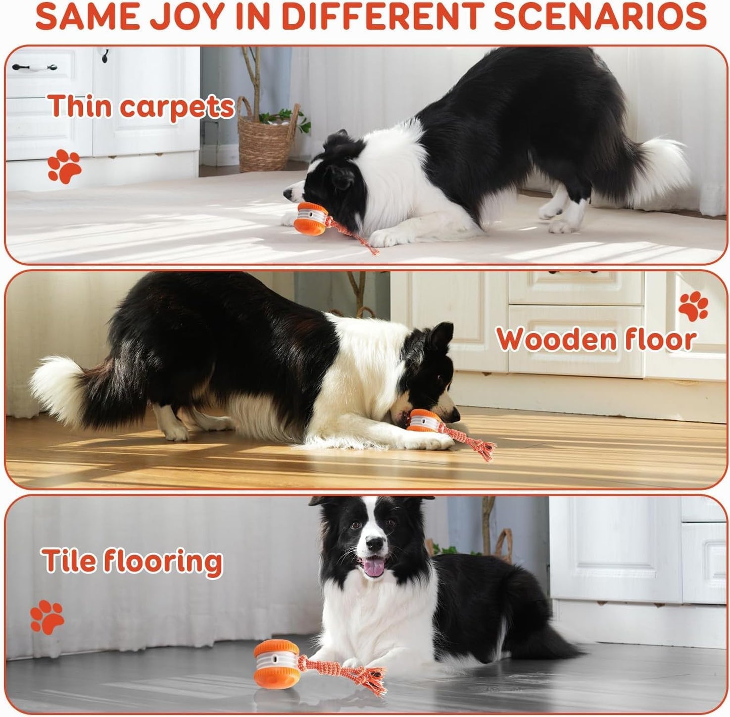 Interactive Dog Toys