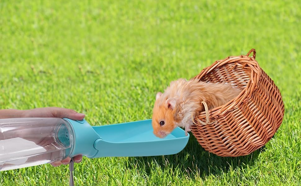 Portable Dog Small Animals Water Bottle for Walking
