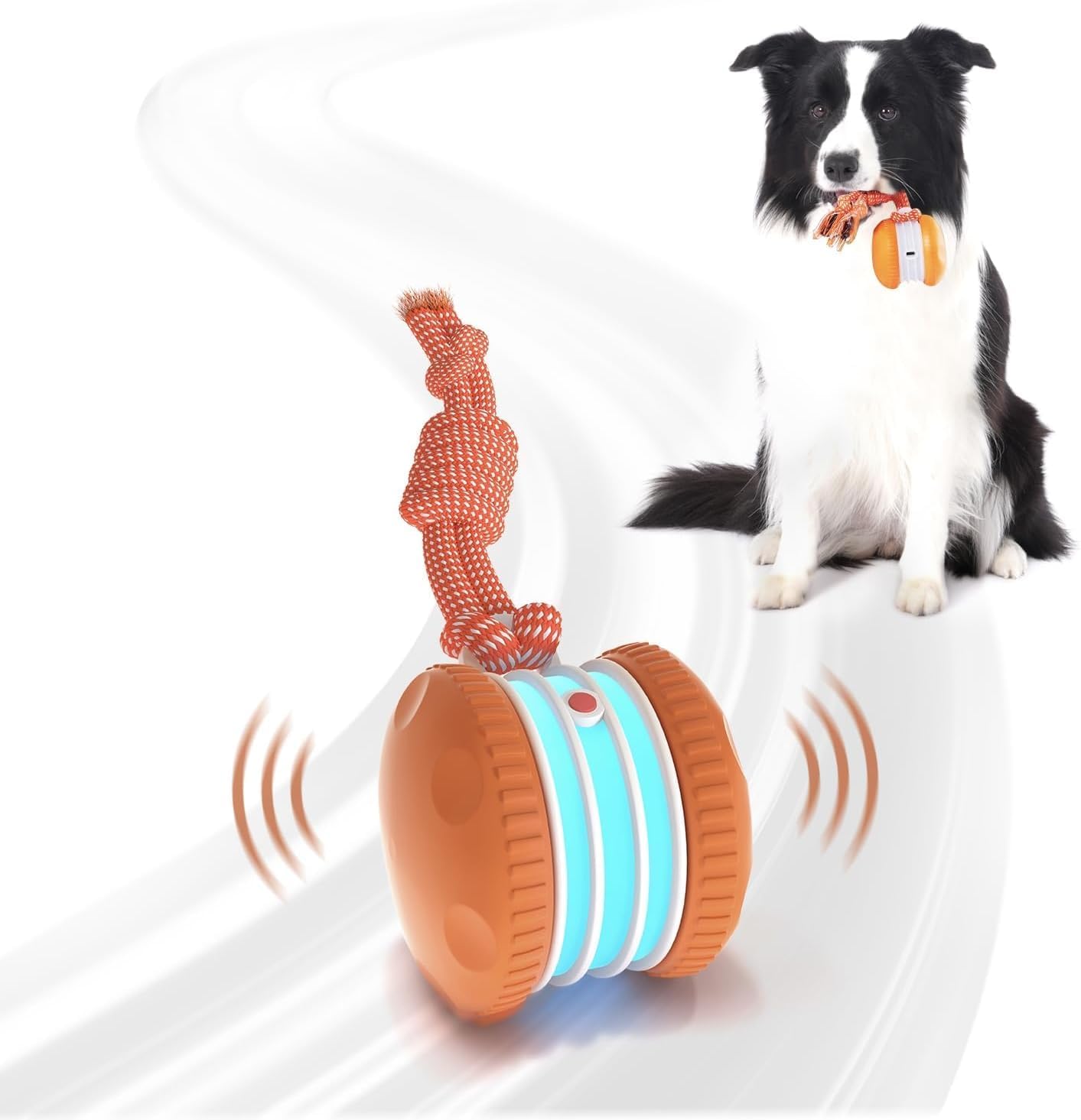 Interactive Dog Toys